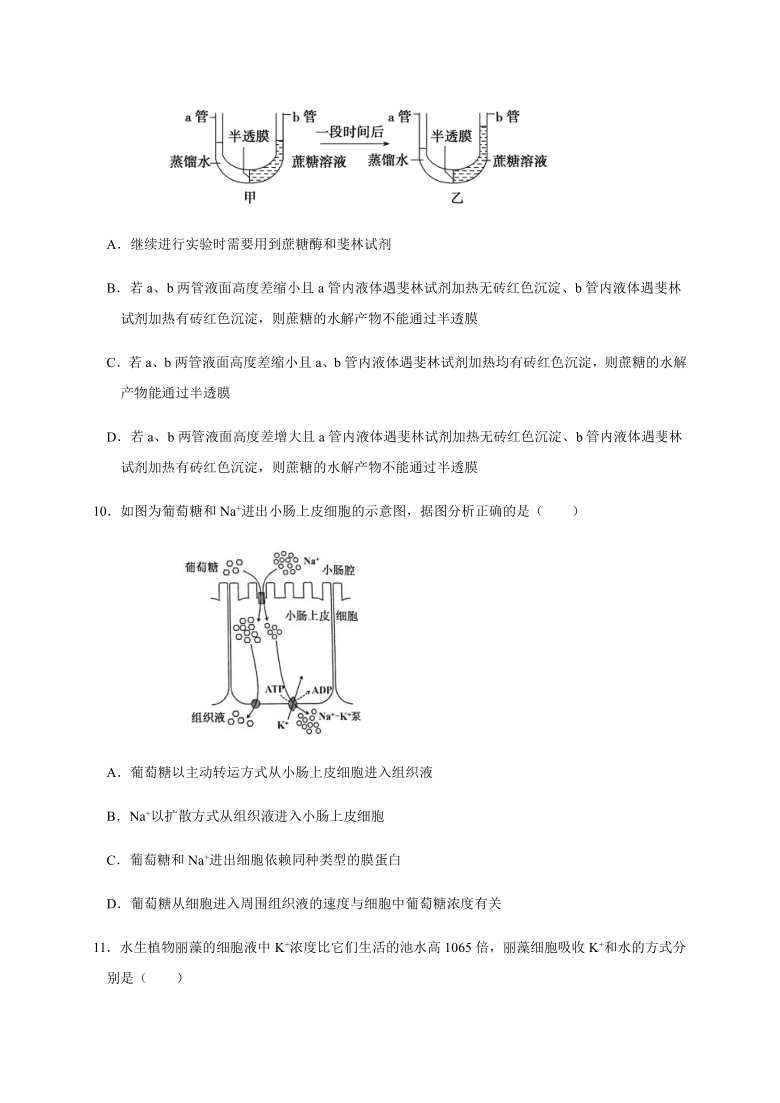 北京市昌平区新学道临川学校2020-2021学年高一（京津班）12月月考生物试题  含答案