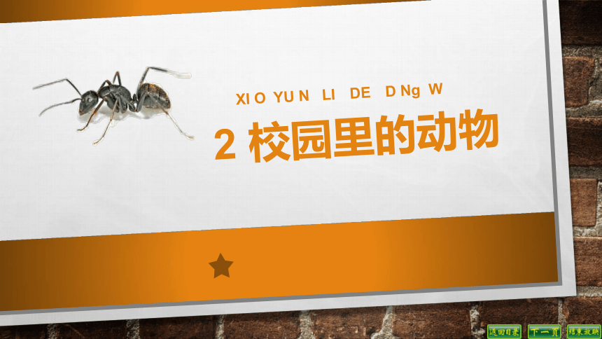 课件预览
