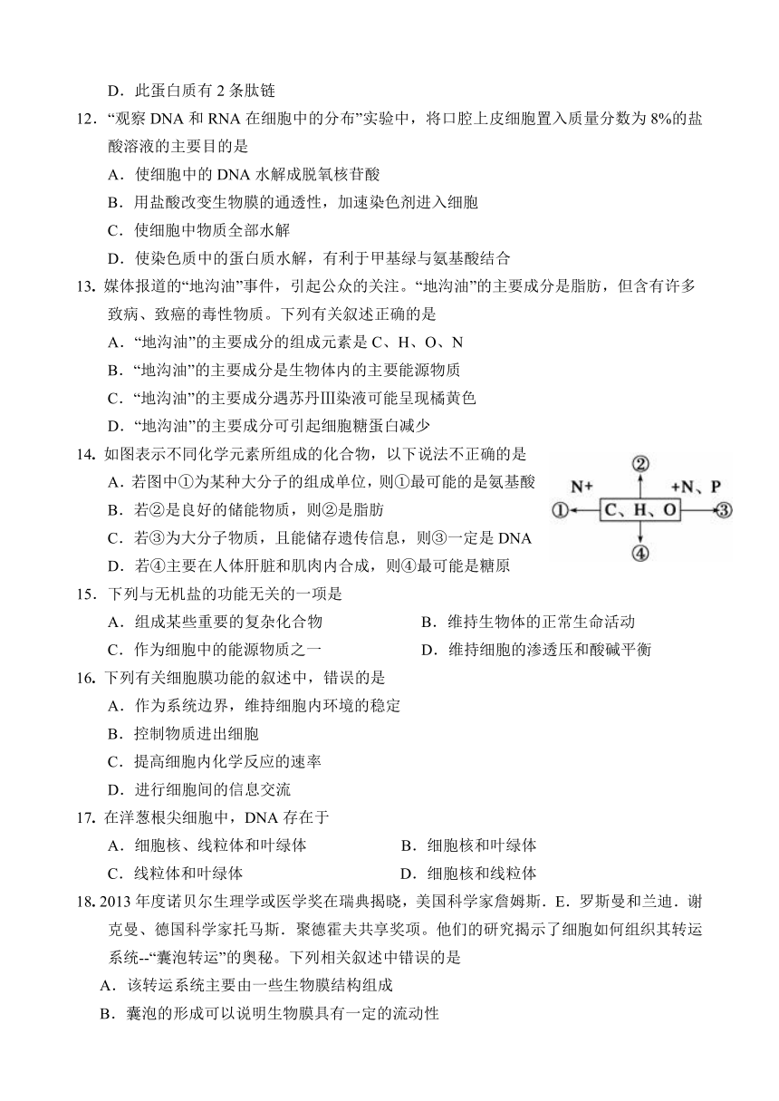 河北省石家庄市第一中学2016-2017学年高一上学期期末考试生物试题 Word版含答案