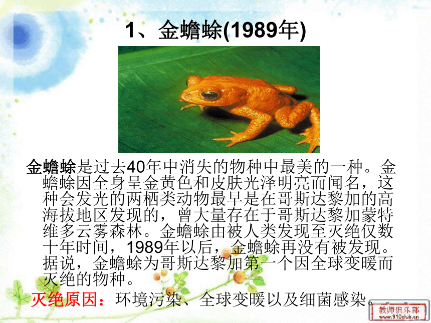 小学科学  湘教版  四年级上册  二 多种多样的动物  5 珍稀动物的保护 课件