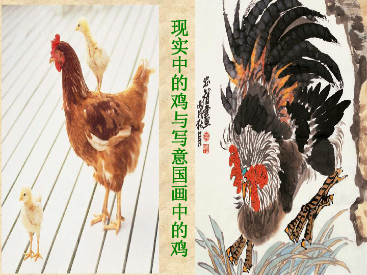 3 中国花鸟画——花卉、禽鸟 课件（20张幻灯片）