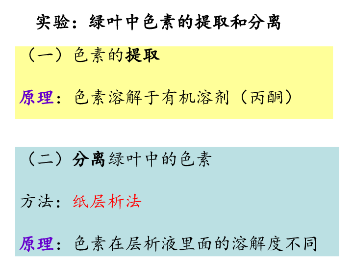 人教版高中生物必修一课件：5.4 能量之源——光与光合作用 (共71张PPT)