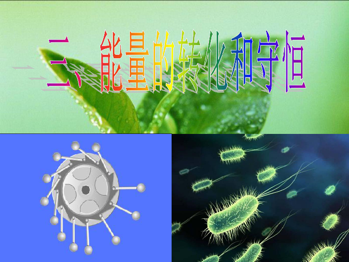 初中 物理 人教版 九年級全冊 第十四章 內能的利用 第2節 熱機的效率