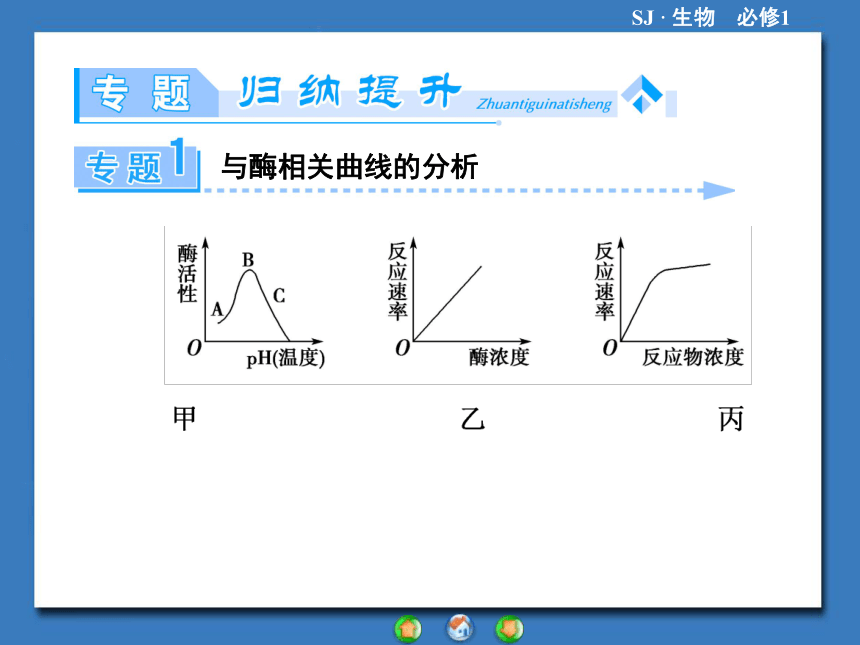 【课堂新坐标，同步备课参考】2013-2014学年高中生物（苏教版）必修1课件：专题归纳课3光合作用和细胞呼吸（共38张PPT）