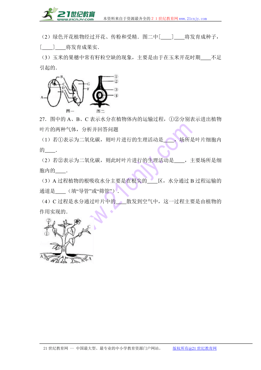 陕西省榆林市2016-2017学年七年级（上）期末生物试卷（解析版）