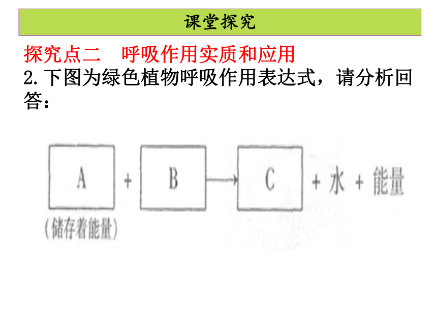 第三单元 第五章 第二节 绿色植物的呼吸作用 课件（共33张PPT）