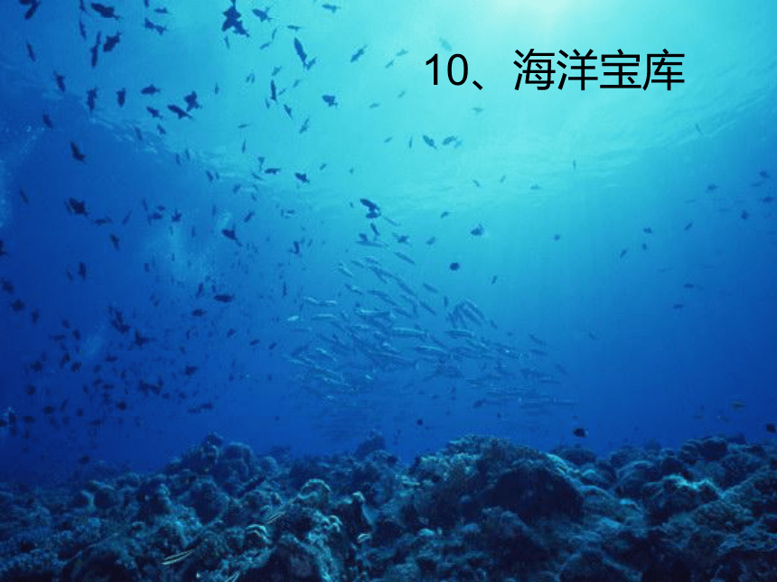 科学六年级下粤教粤科版10海洋宝库课件（36张）