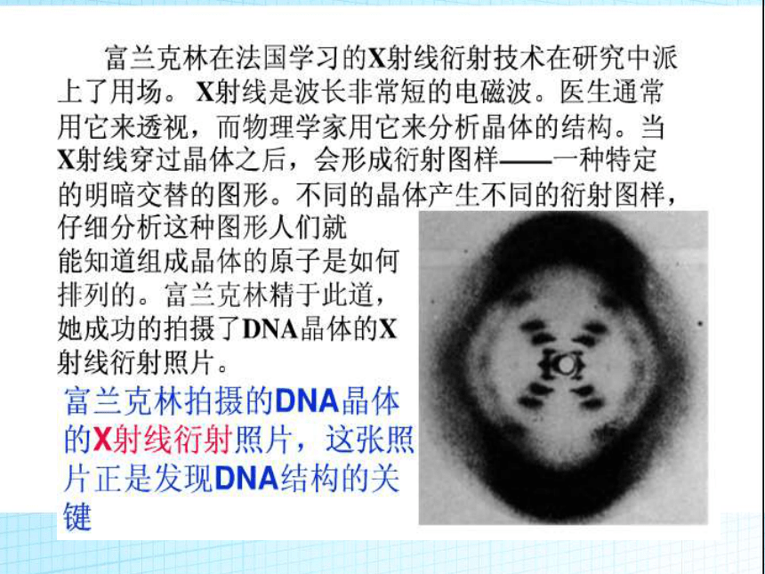 高中生物人教版必修二第三章第2节 DNA分子的结构   课件(19张PPT)