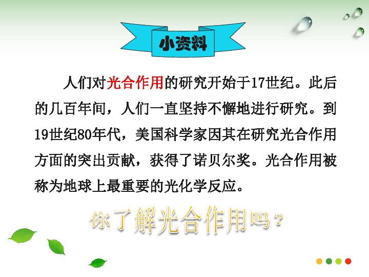 六年级上册科学课件-2.9 绿色植物如何获取能量丨冀教版 (共34张PPT)