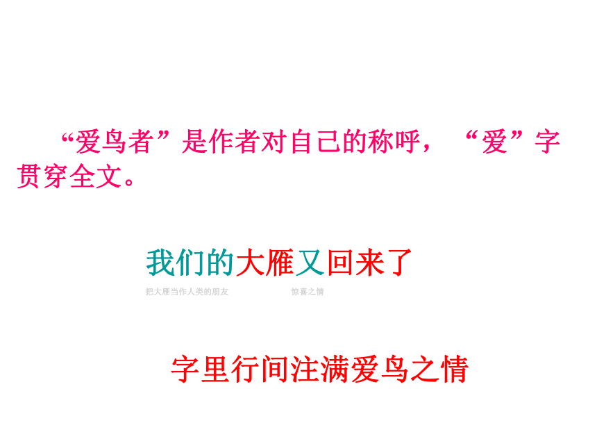 大雁归来课件 (共24张PPT)