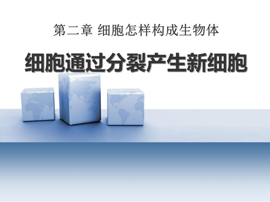 2.2.1  细胞通过分裂产生新细胞 课件（27张PPT）