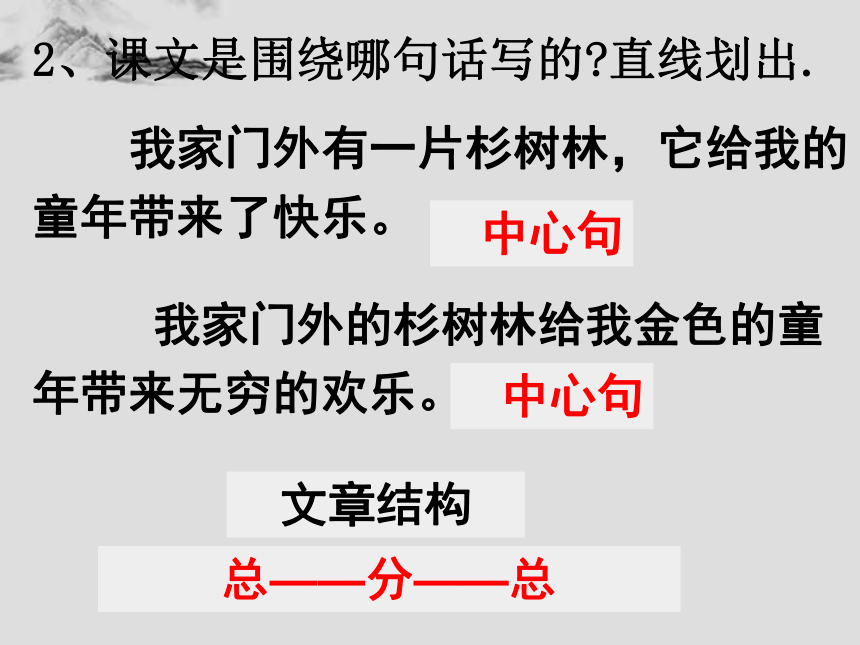 快乐的杉树林