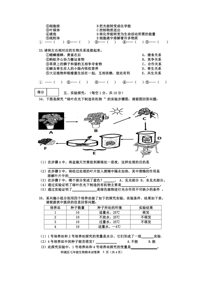 黑龙江省哈尔滨市阿城区2019-2020学年七年级上学期期末考试生物试题（Word版含答案）