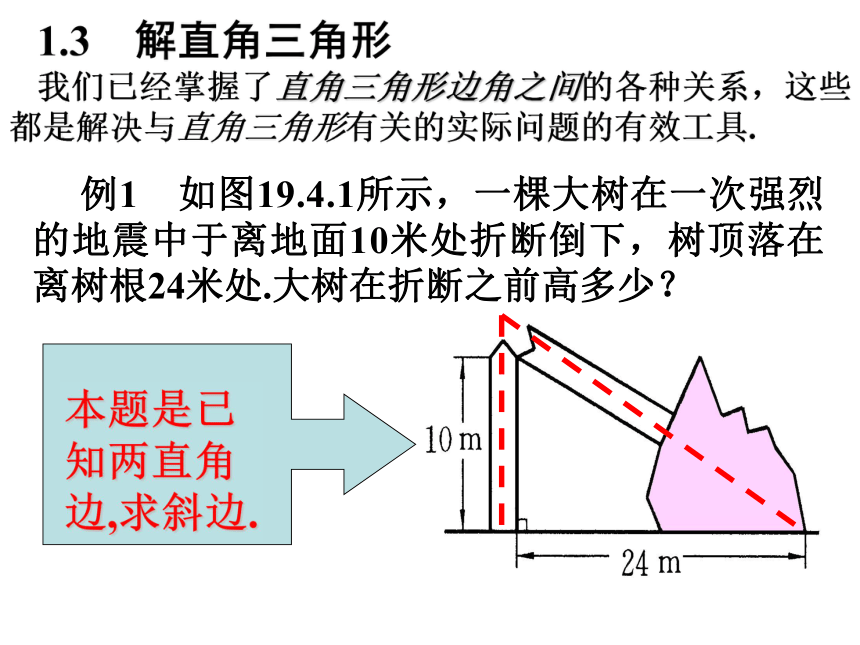 1.3解直角三角形的应用(1)