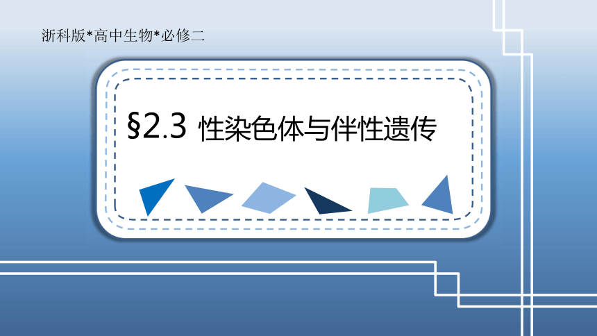 高中生物浙教版必修二第二章第三节性染色体与伴性遗传（终）