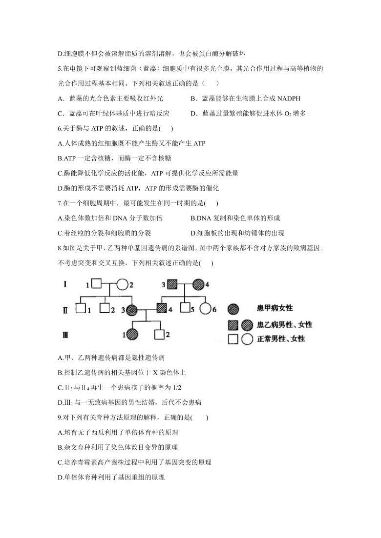 重庆市2021届高考模拟猜想卷生物试题（Word版含解析）