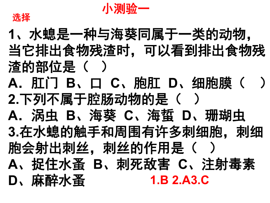 人教版八年级上册生物第五单元第1章动物的主要类群复习课件 （共22张PPT）