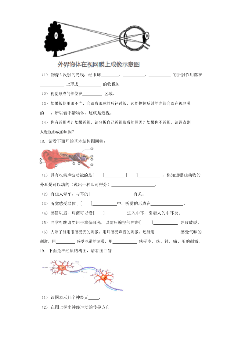 苏教版七年级下册生物4.12人体生命活动的调节同步测试（word版含解析）