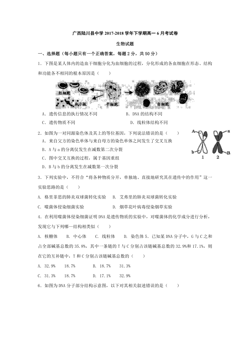 广西陆川县中学2017-2018学年高一下学期6月考生物试题