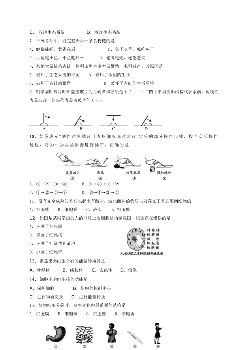 新疆乌鲁木齐市2017-2018学年七年级上学期期末考试生物试题