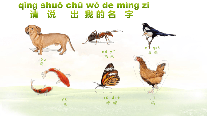 1.我们知道的动物 课件（18张PPT）