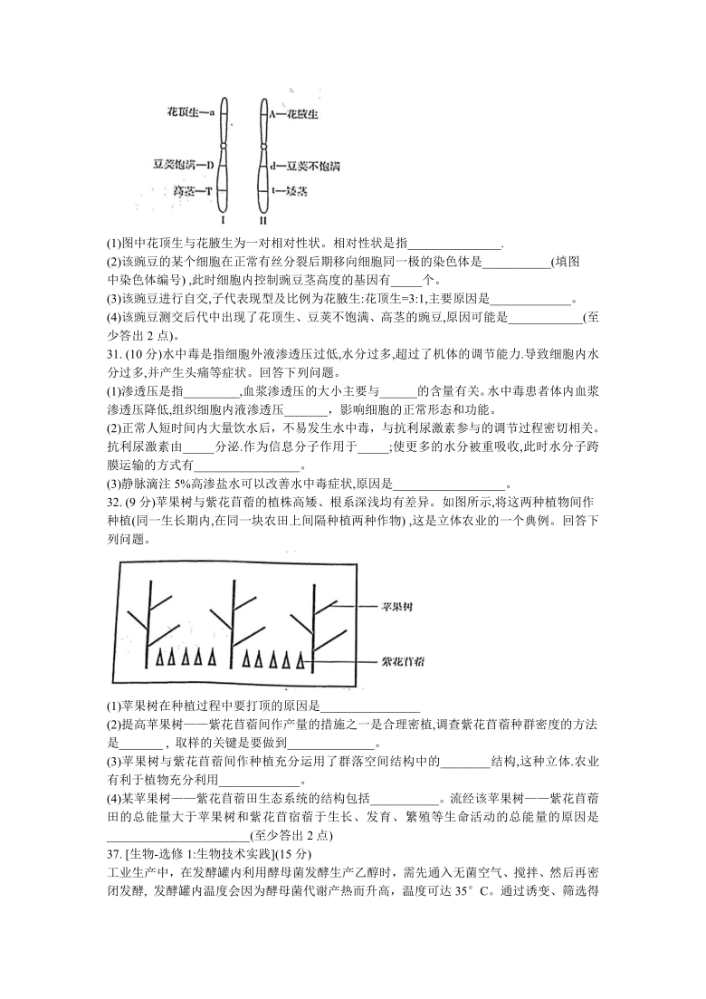 新疆维吾尔自治区2021届高三下学期普通高考第一次适应性检测（3月）理科综合生物试题   含答案