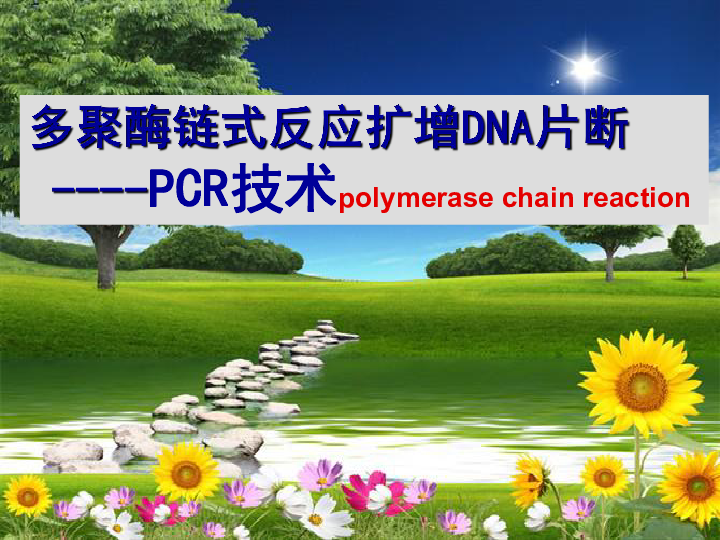 人教版生物高中选修一5.2用多聚酶链式反应扩增DNA片段(44张PPT)