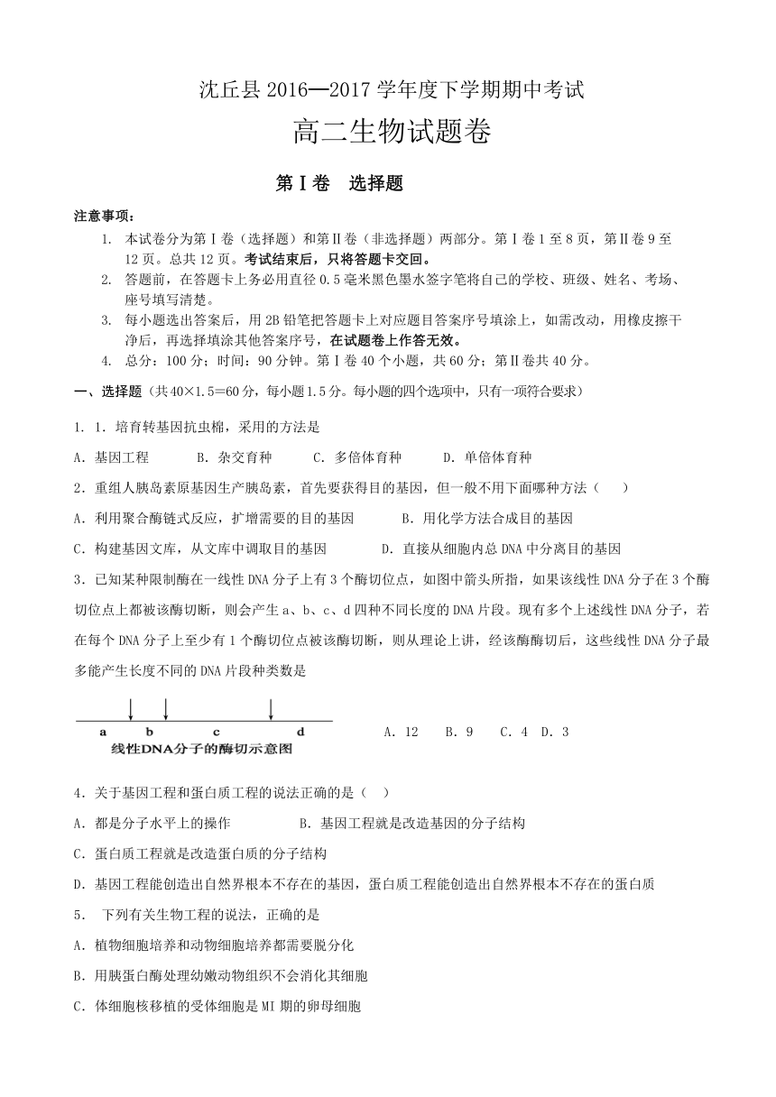 河南省周口市沈丘县2016-2017学年高二下学期期中考试生物试卷 Word版无答案