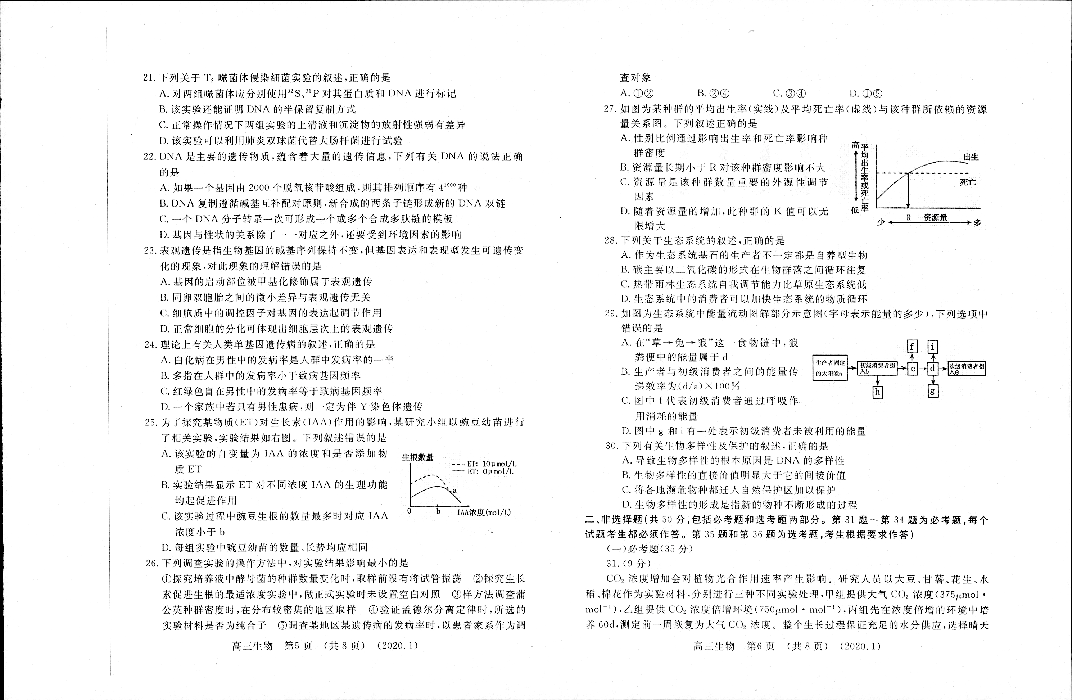 河南省洛阳市洛宁第一高级中学2020届高三上学期期末考试生物试卷（PDF版）