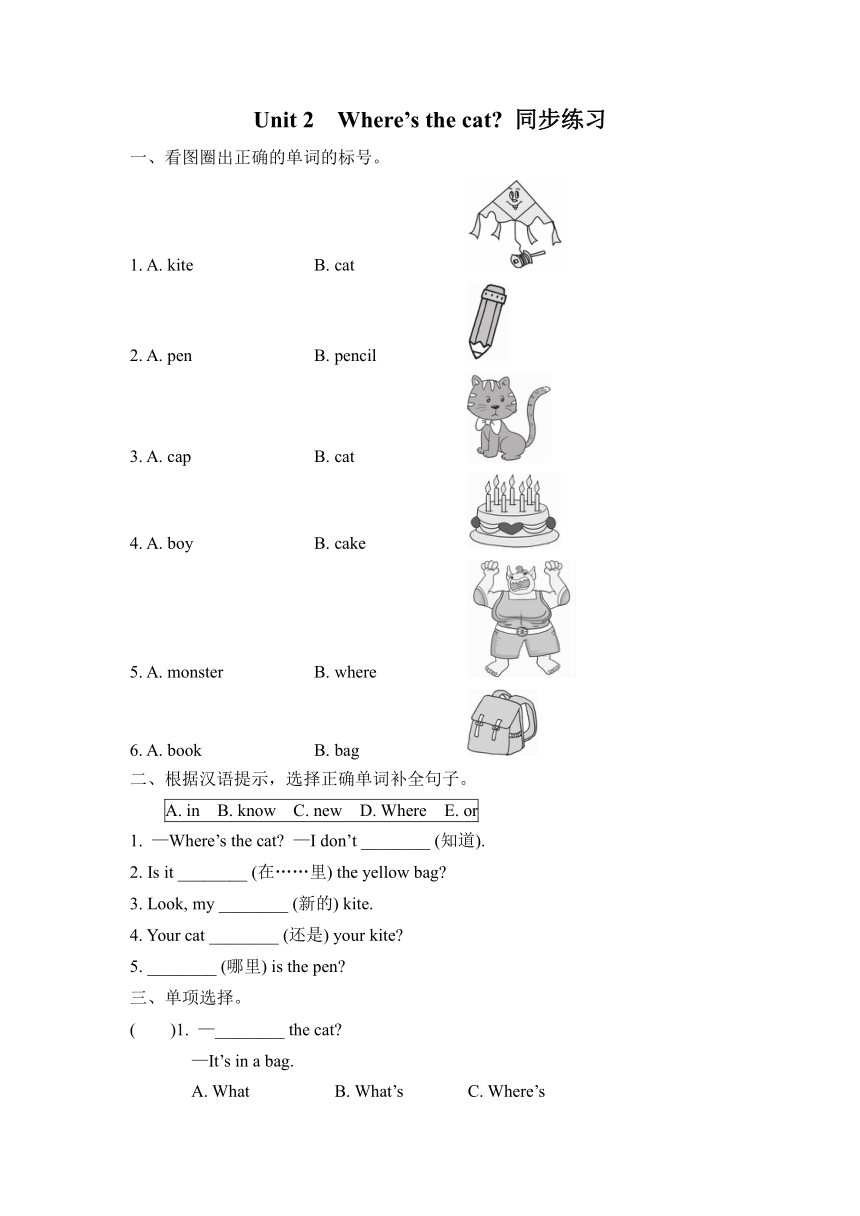 Unit 2 Where’s the cat? 同步练习（含答案）