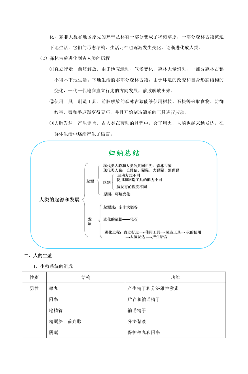 考点18 人类的起源和生殖-备战2018年中考生物核心考点全突破