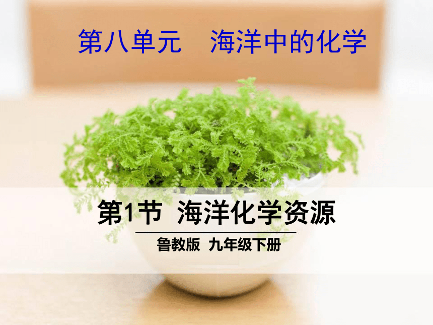 第一节 海洋化学资源 课件（30张PPT）