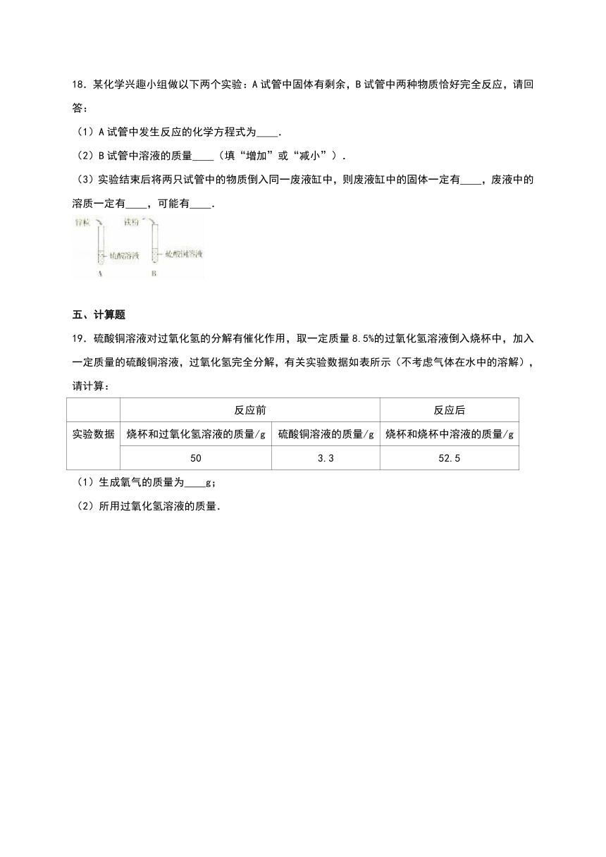 吉林省延边州安图县2016-2017学年九年级（上）期末化学试卷（解析版）