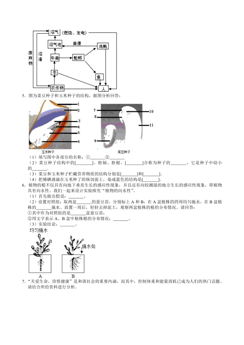 人教版初中生物中考专题训练——实验探究题（2）（word版含解析）