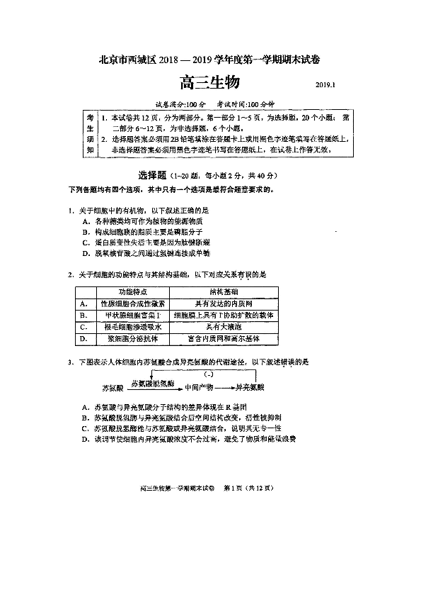 北京市西城区2019届高三上学期期末 生物试卷（扫描版）