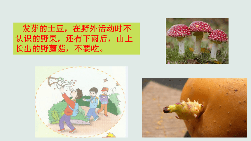 4 我会照顾自己 课件