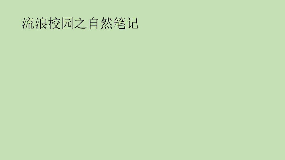 课件预览