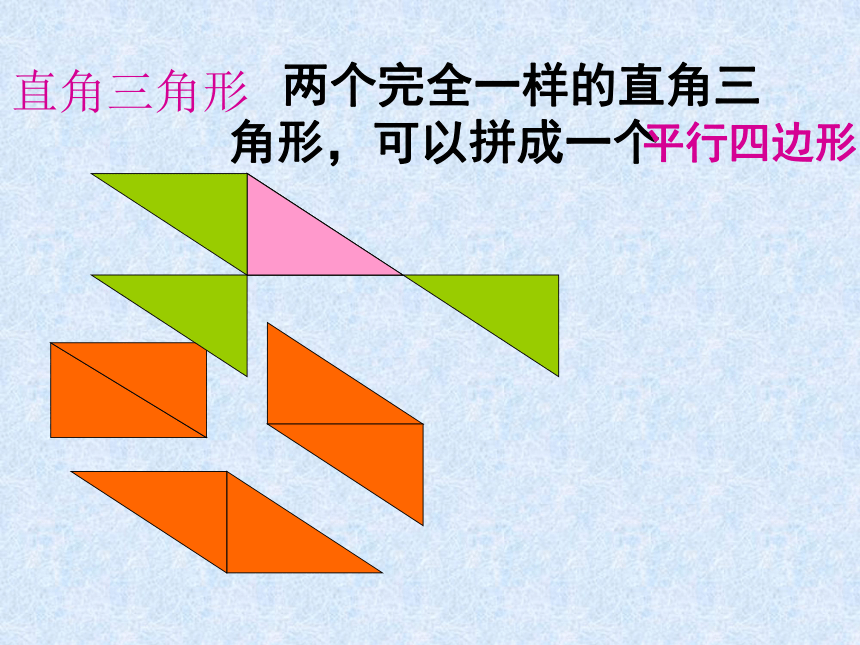 数学五年级上人教版6三角形的面积课件（31张）