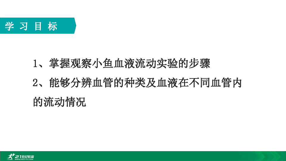 2020年春人教七下生物第四章第二节观察小鱼尾鳍的血液流动 教学课件