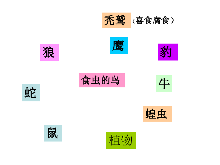 19.密切联系的生物界（9张PPT）