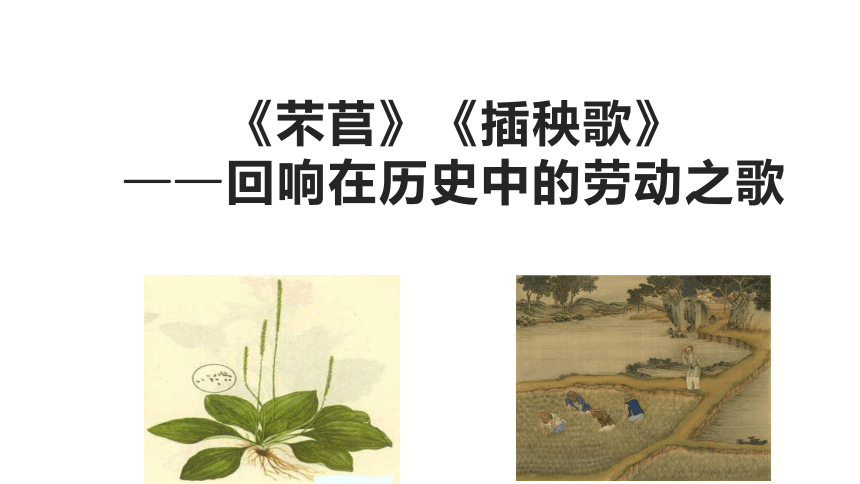 6芣苢插秧歌课件42张ppt20212022学年统编版高中语文必修上册