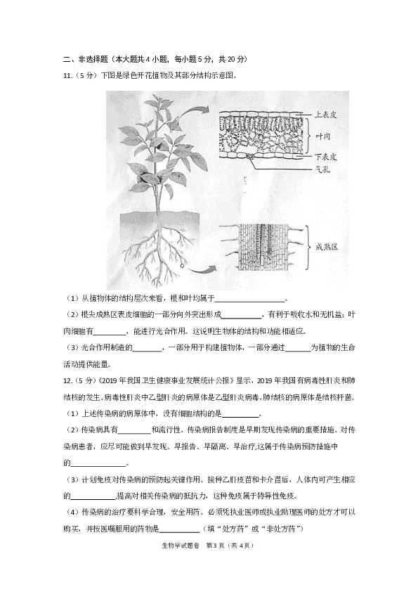 2020年安徽省八年级学业水平考试生物学试题（PDF版，有答案）