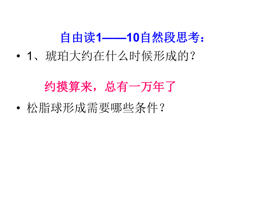 《奇异的琥珀》课件    (共16张PPT)