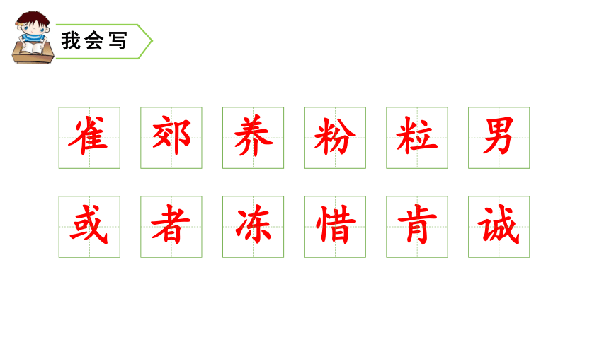 部编版小学语文三年级上册  26 灰  雀  课件（35张PPT）