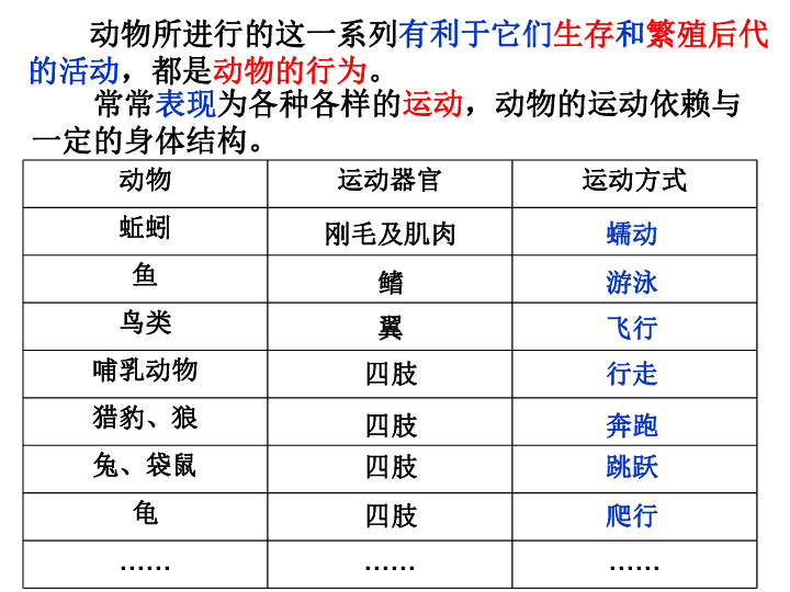 第二章第一节：动物的运动 课件(共20张PPT)