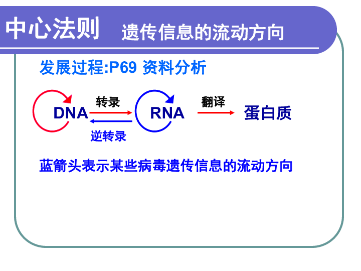 人教生物 必修2第4章2基因对性状的控制（共22张PPT）