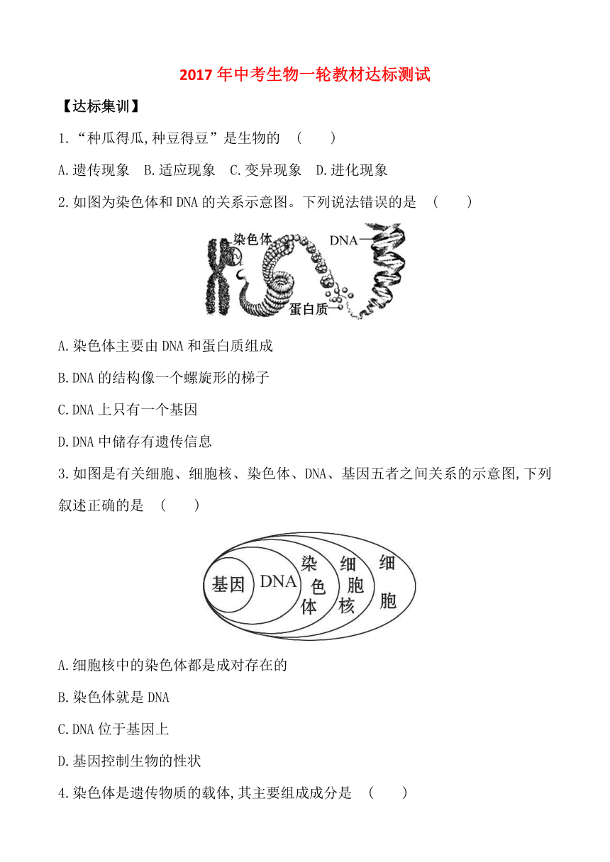 2017年中考生物一轮教材达标测试题：第8单元 第二十二章 生物的遗传和变异（解析版）