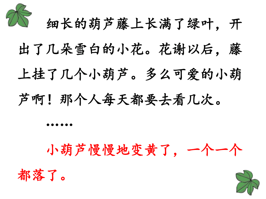 14.我要的是葫芦   课件(共39张PPT)