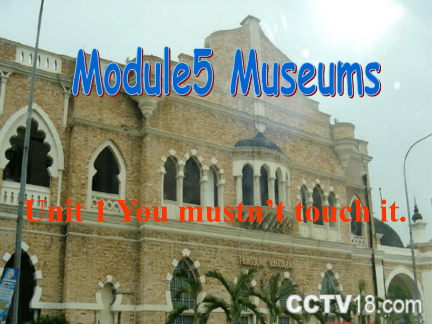 Module 5 Museums  unit1 You mustn’t touch it