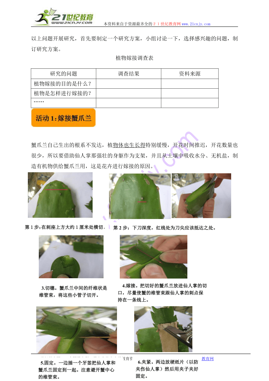 小学五年级综合实践活动《植物嫁接》教案